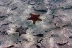 Galapagos Eilanden
