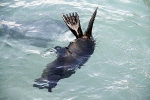 Galapagos Eilanden