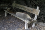 Galapagos Eilanden