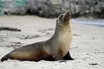 Galapagos Eilanden