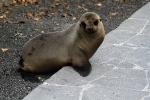 Galapagos Eilanden