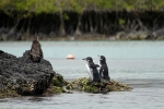 Galapagos Eilanden