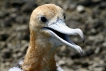 Galapagos Eilanden