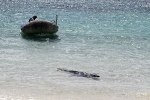 Galapagos Eilanden