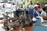 Galapagos Eilanden