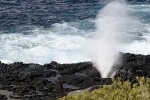 Galapagos Eilanden