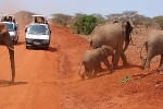 Tsavo East