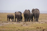 Lake Naivasha