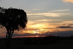 Masai Mara NP