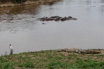 Masai Mara NP