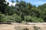 Borneo On The Road