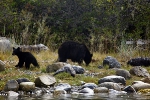 Vancouver Island