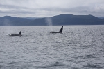 Vancouver Island