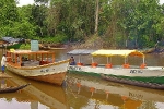 On The Amazone River