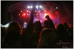 Boulevard Vinyl Paal