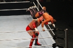 WWE Wrestling Revenge Tour 2012