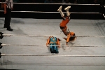 WWE Wrestling Revenge Tour 2012