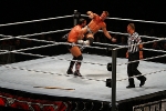 WWE Wrestling Revenge Tour 2012